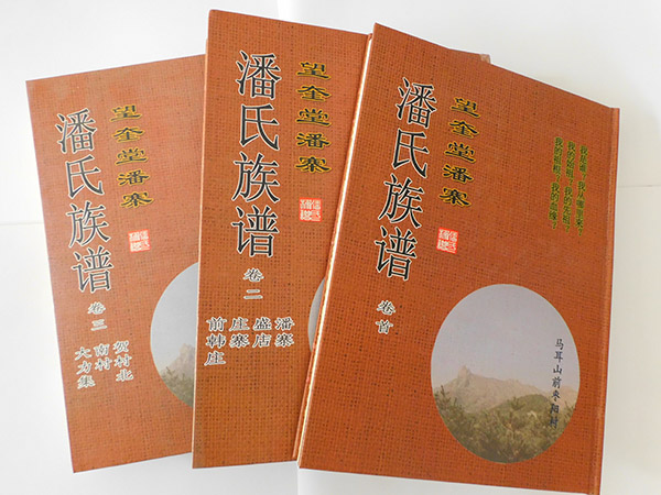 山东族谱样式